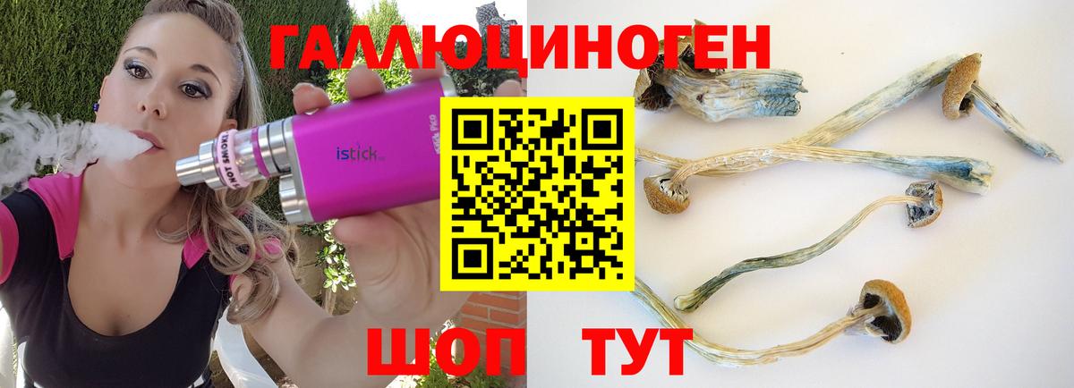 Псилоцибиновые грибы мухоморы  Вход с VPN  Горячий Ключ 